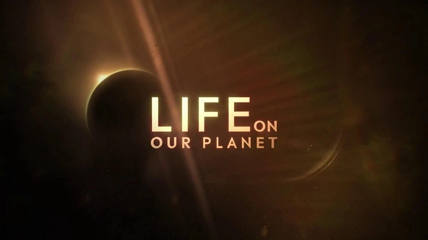 Download Life On Our Planet (Season 1 – Netflix Original) Complete Dual Audio {Hindi-English} WEB Series – 480p | 720p | 1080p WEB-DL