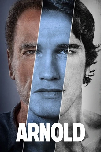 Download Arnold | 2024 | Season 1 | {Hindi- English}| Netflix Original Web Series | 480p 720p 1080p